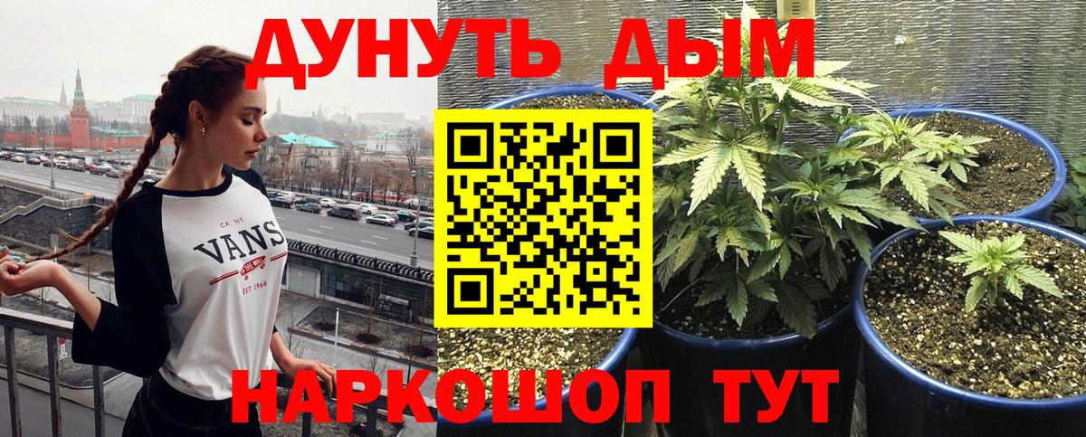 Сунжа  МАРИХУАНА OG Kush  Бошки Шишки AK-47  Вход с VPN  Бошки марихуана Amnesia  Бошки марихуана VHQ 